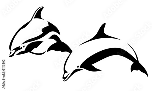 Two dolphins
