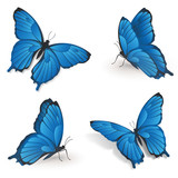Blaue Schmetterlinge - 4 Positionen