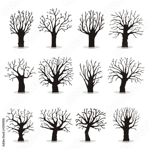 Collection of trees silhouettes