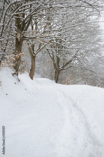 Harz Landschaft Winter © Erik Schumann