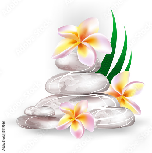 zen stones and frangipani flowers