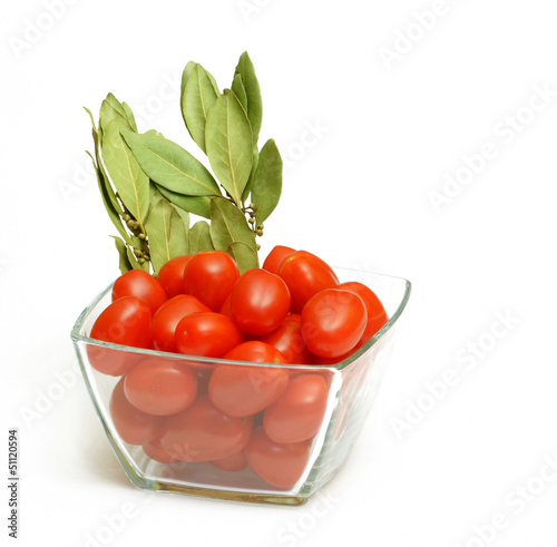 Pomidory 12
