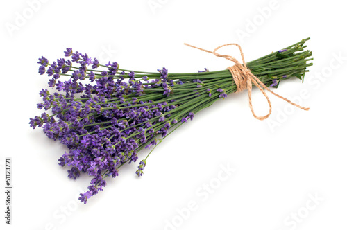 Fototapeta Naklejka Na Ścianę i Meble -  lavender isolated on white background