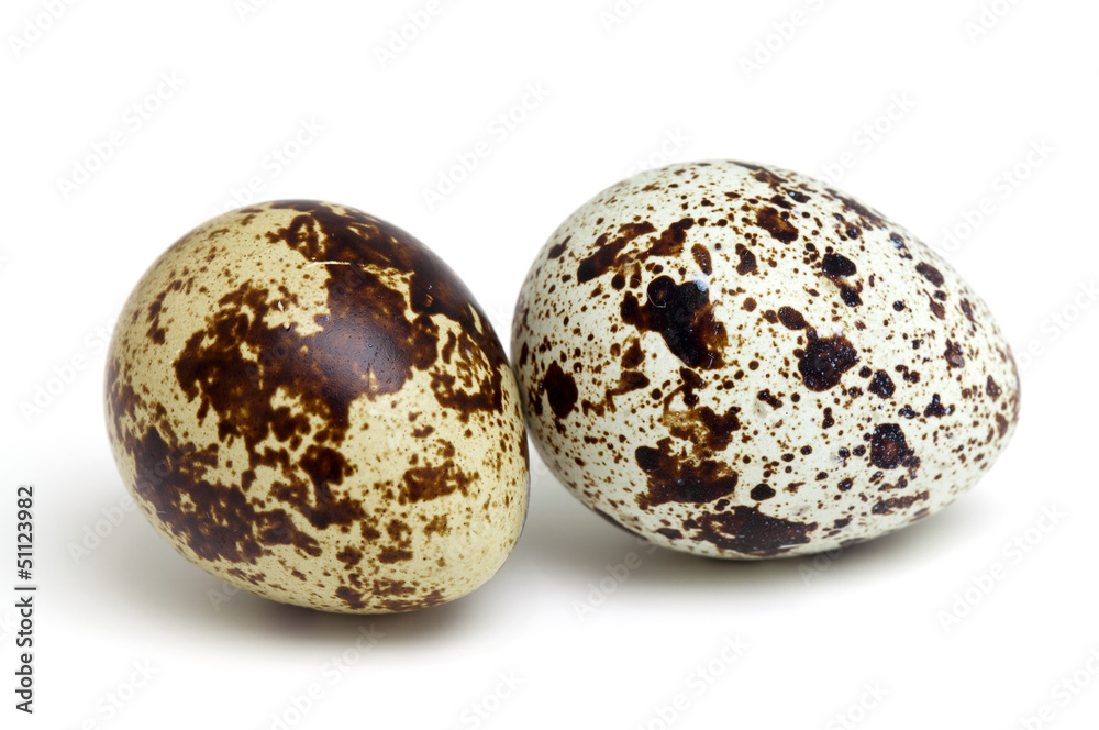 Obraz premium quail eggs isolated on white background