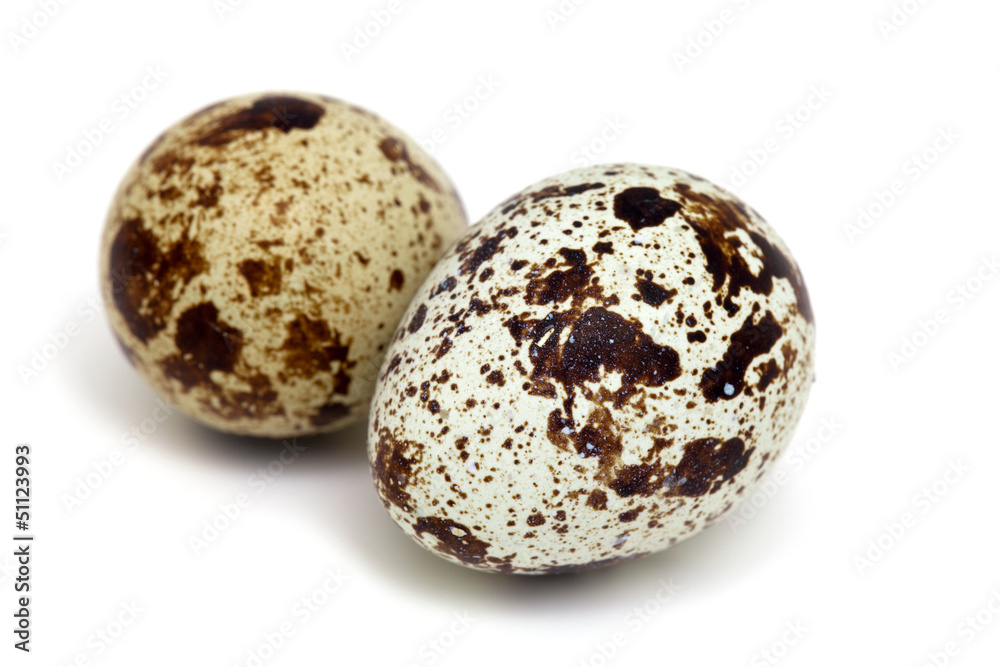 quail eggs isolated on white background quail eggs isolated on white background