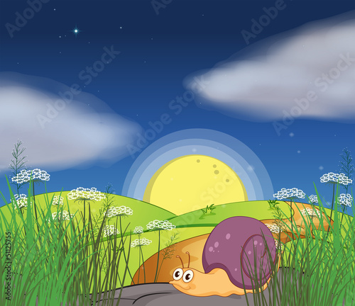 A snail along the road