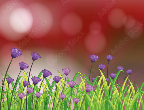 A paper with beautiful flowers