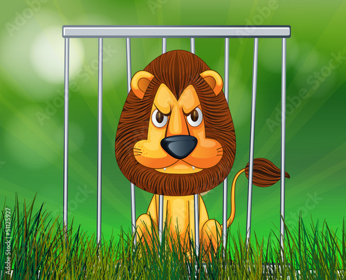 A scary lion inside the cage