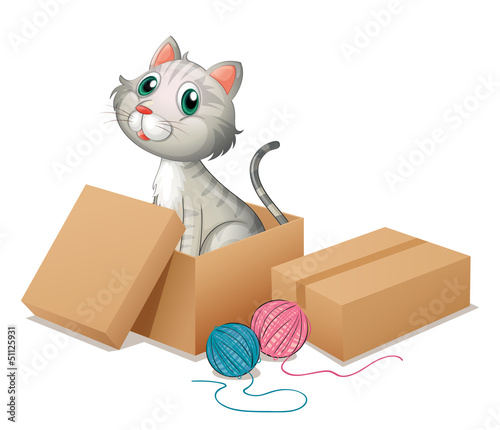 A cat inside the box