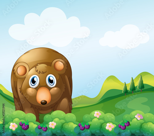 A brown bear at the garden