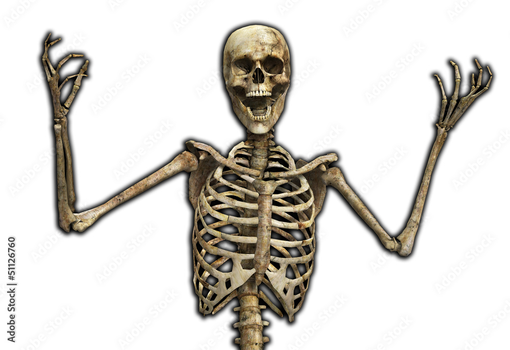 The Skeletal Scream The Skeletal Scream