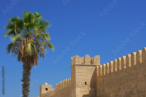 Castle and palm tree in Sousse photo