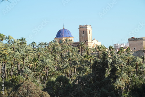 Paisajes de Elche photo