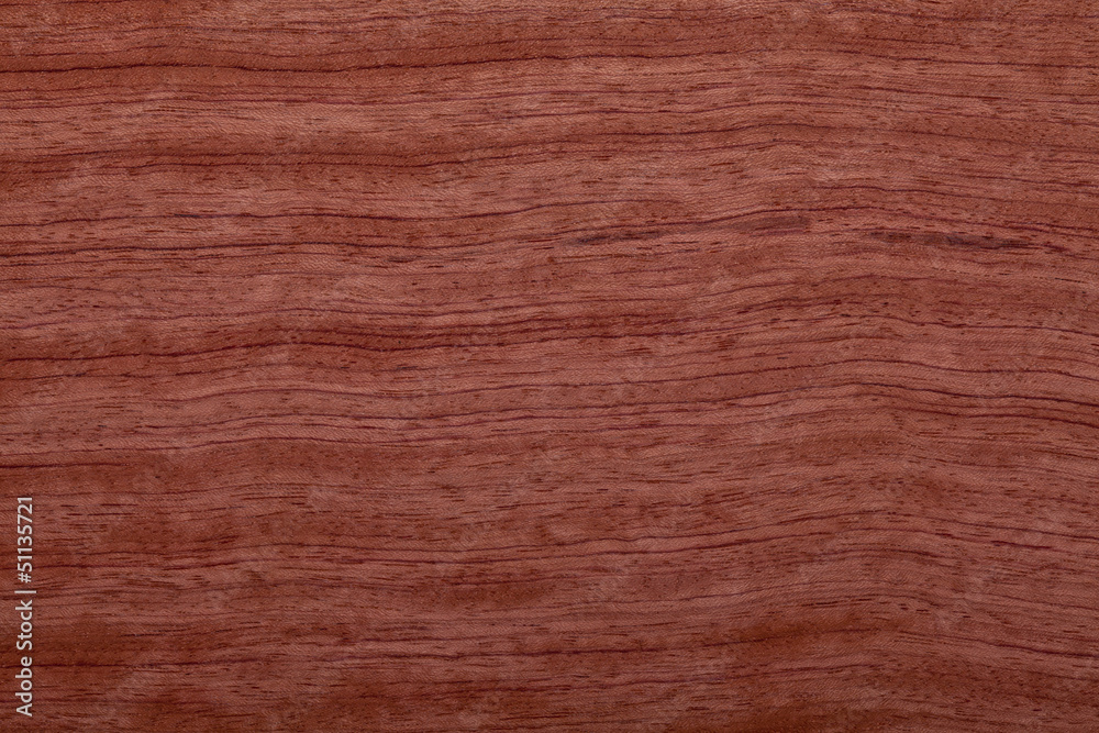 wood texture wood texture