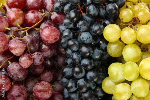 assortment of ripe sweet grapes, close up