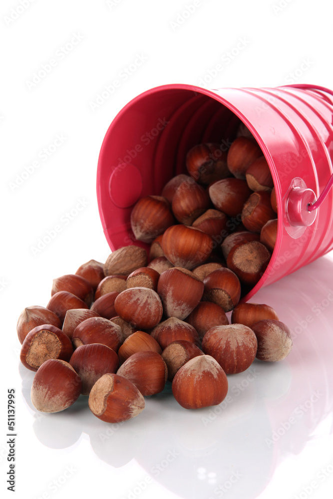 Overturned bucket with hazelnuts isolated on white Overturned bucket with hazelnuts isolated on white