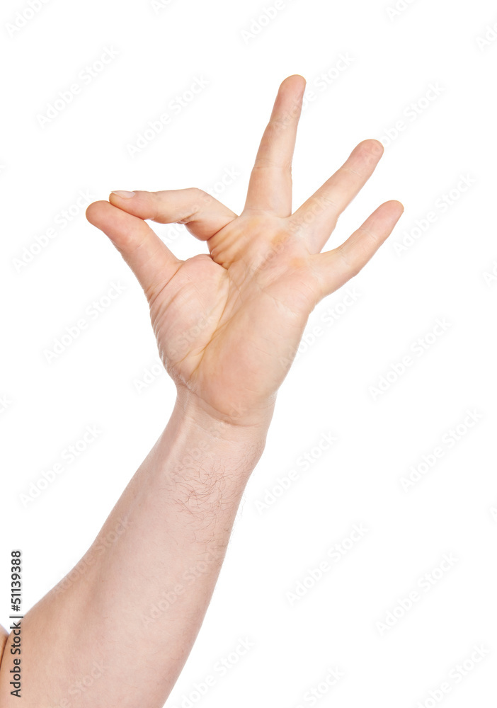 Man's hand isolated, on a white background Man's hand isolated, on a white background