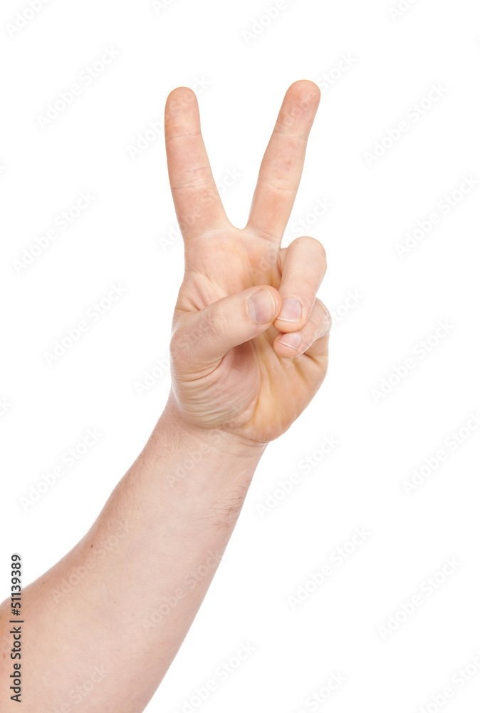Man's hand isolated, on a white background Man's hand isolated, on a white background