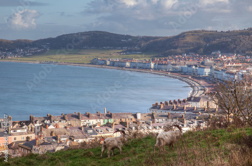 Views from The Great Orme photo