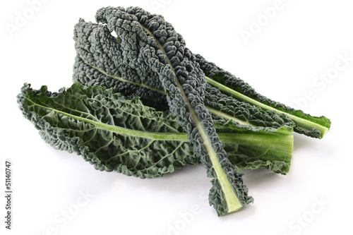 black kale, italian kale photo