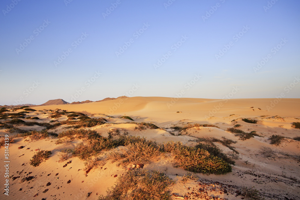 Sand dunes and scrub Sand dunes and scrub