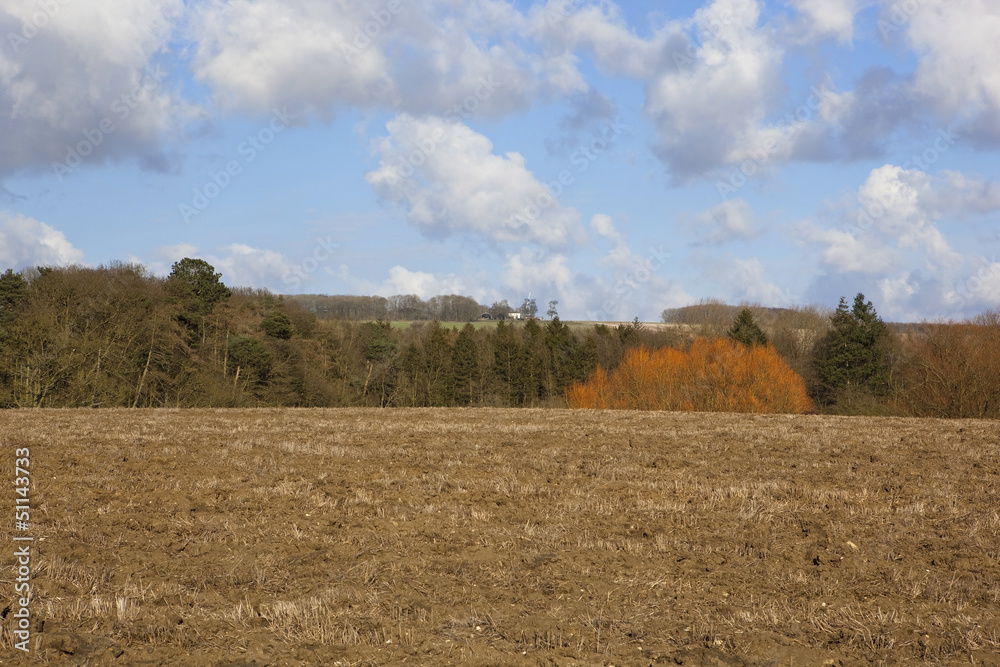 Obraz premium colors of springtime