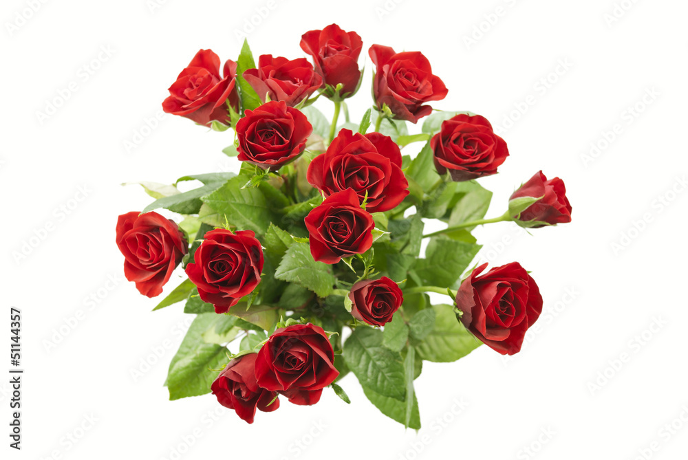 Red Roses Red Roses