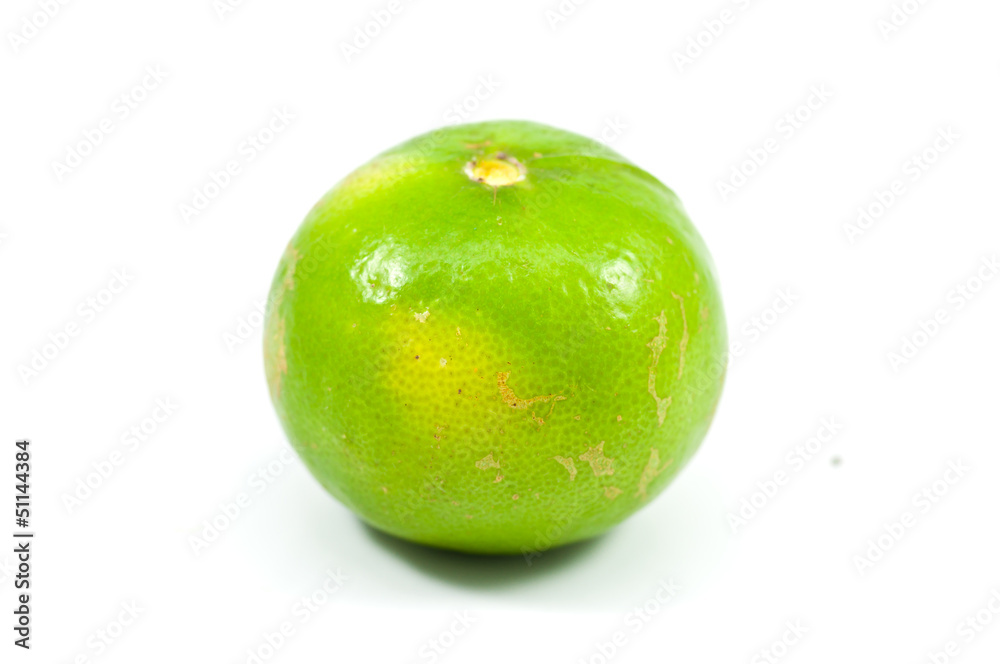Lemon Lemon