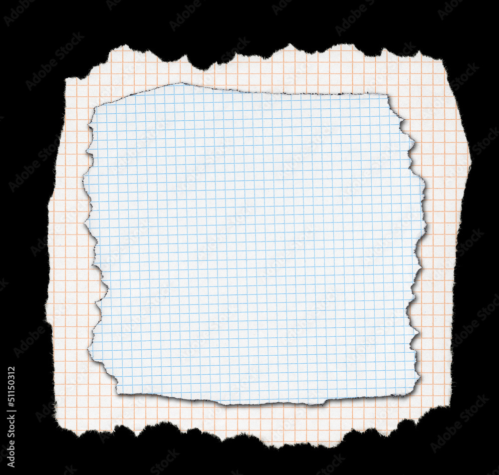 Two pieces of torn squared paper Two pieces of torn squared paper