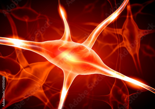 Illustration of a nerve cell