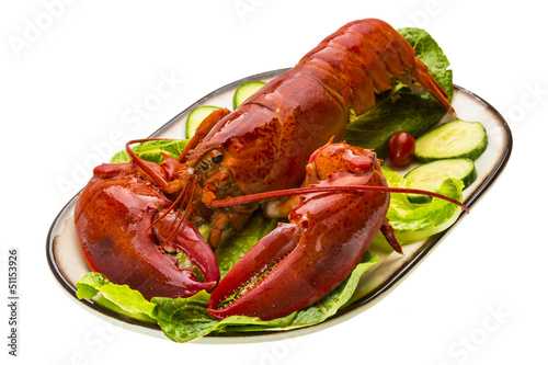 Large Lobster