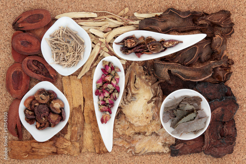 Chinese Herbal Medicine photo