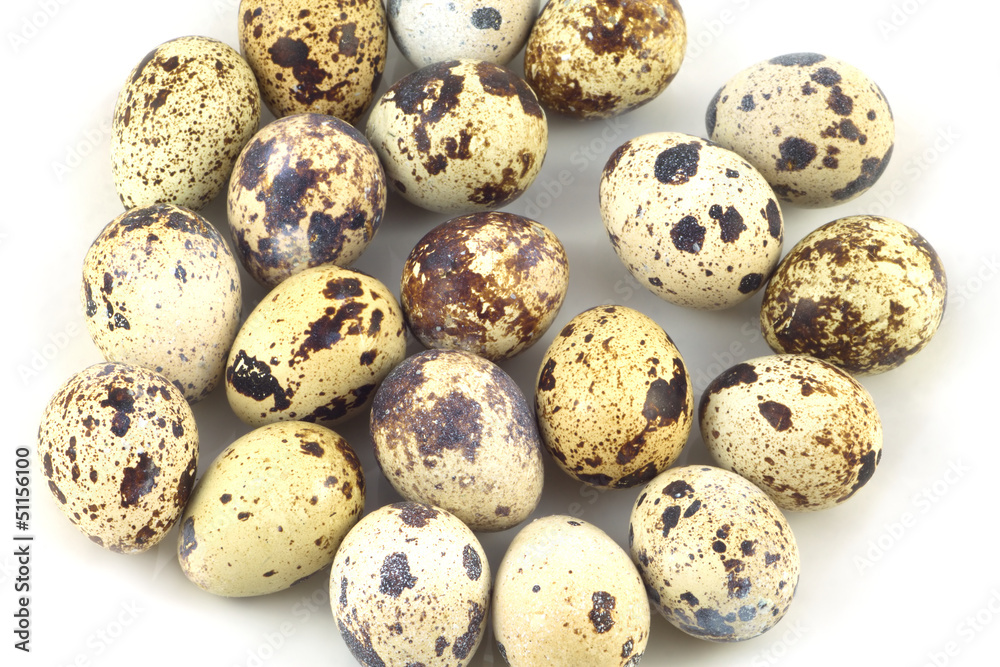 Many Quail eggs isolated on white closeup Many Quail eggs isolated on white closeup