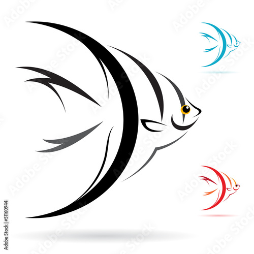 Vector image of an angel fish on white background
