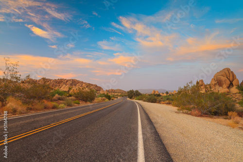 Joshua Tree National Park with road at sunset. USA. California.