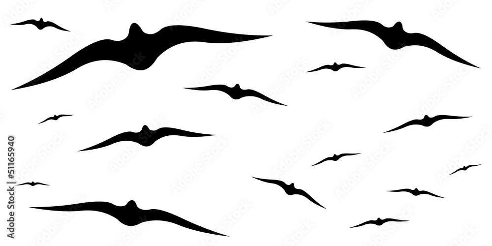 Vol d’oiseaux sur fond blanc