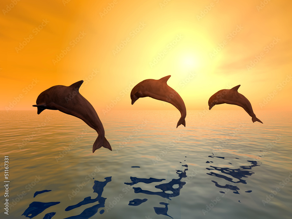 Fototapeta premium Jumping Dolphins