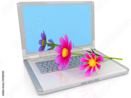 notebook and cosmos flower on white background