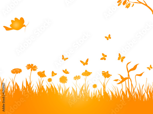 blumenwiese, blume, blumen, blüten, schmetterling, vektor, öko, 