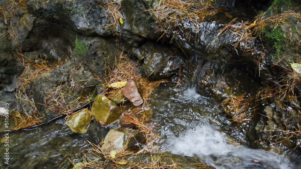 River in the forrest