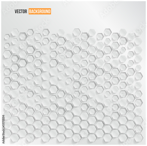 Vector abstract background Hexagon. Web Design