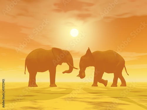 Elephant couple - 3D render