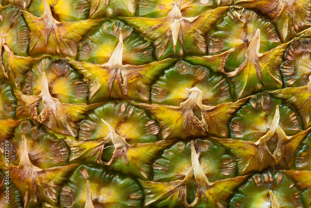 pineapple texture pineapple texture