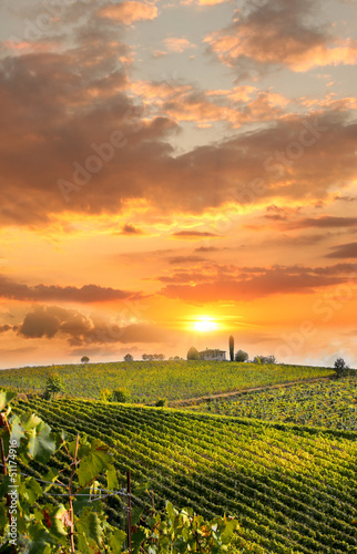 Fototapeta Naklejka Na Ścianę i Meble -  Chianti, famous vineyard in Italy