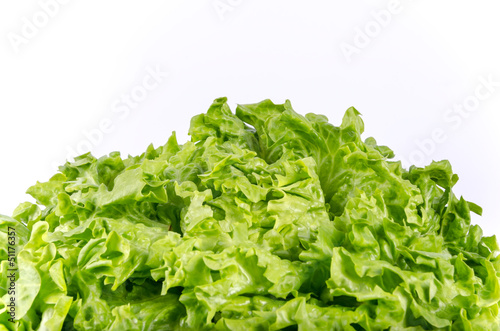 Texture of spring green lettuce leaves isolated on a white backg