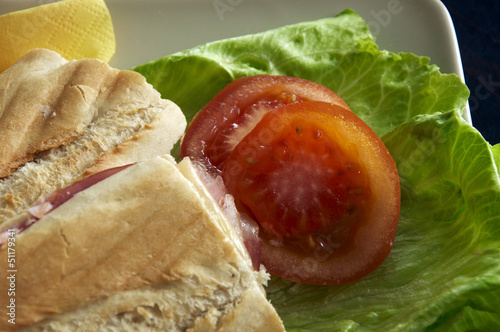 panini