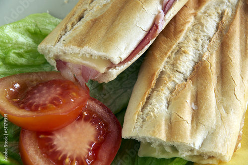 panini