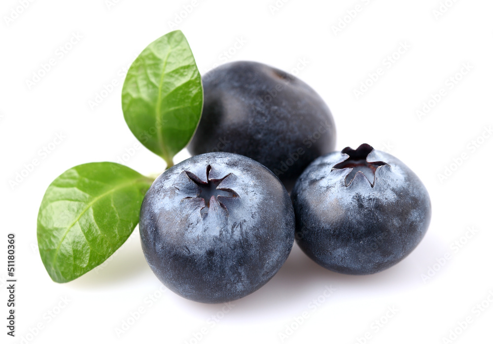Blueberries with leaves on a white background Blueberries with leaves on a white background