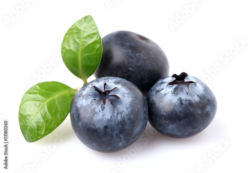 Blueberries with leaves on a white background