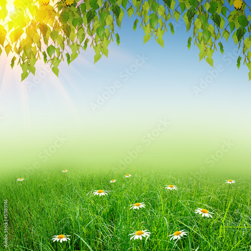 green nature background